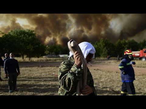 Kryoneri bei Athen: Anwohner kmpfen gegen Waldbrand