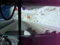 Quick Calgary Trip