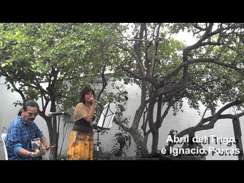 sandyyvazquezz - Abril del Trigo cantando en una fiesta privada en el municipio de Calvillo en Aguascalientes. Abril del Trigo es como el soplo de la brisa, fresca y tibia a ...