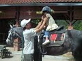 colmar-tropicale-bukit-tinggi.html