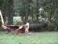 videos de 4