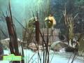 Sesame Street: Alone in a Swamp