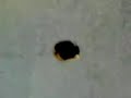 arma caseira extremamente forte