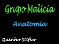 Grupo Malicia - Anatomia Grupo Malicia - Anatomia
