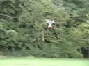 Trex 600 - Calm Flight at the Park