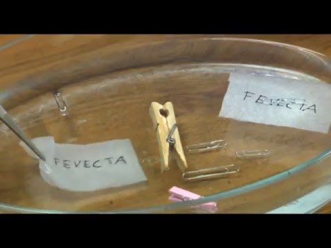FEVECTA, entidad para el fomento y desarrollo cooperativo