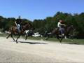 SHOBA 2007 East Fork Stables