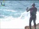 Robalo na quebradeira Robalo na quebradeira