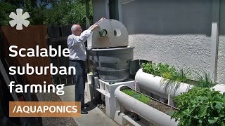 Indoor Backyard Aquaponics Kit For Easy Home Farming Gardening