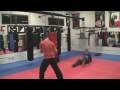 videos de One Inch Punch - Bruce Lee - Sifu Sean Spiddle ONLINEJKS