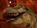 Times Square Toys T-Rex 1