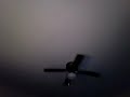 My New Video4