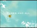  beyonce flaws and all
