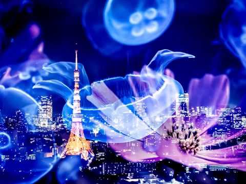 動画