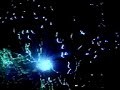 a fiber optic sphere my friend maggy had in her room. we put on rave music and i played with it. it was so cool to see in person. but the cellphone video dosent do justice
