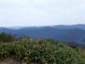 越後駒ケ岳山頂