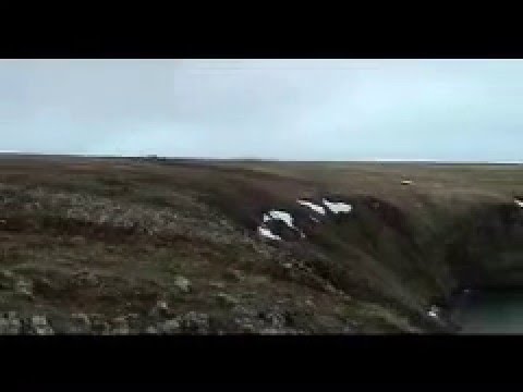 Bering Sea Cruise-ship