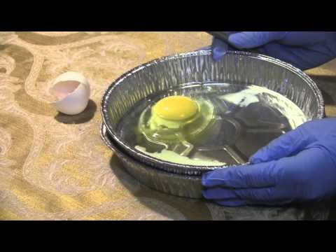 how to react calcium oxide with water