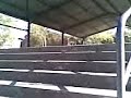 Skate
