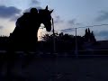 My youngest brother jump a 1m obstacle with his horse