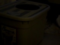 Click here to watch this video Tiger new litter box MOV00457