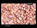 Click to View : JT Dounia du 27 juillet 2014