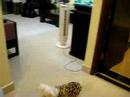 YiHang &amp; Pear - 17 Nov 2007
