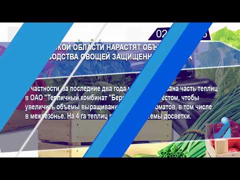 Новостная лента Телеканала Интекс 02.03.26.