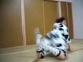 The hAppY CoW :)