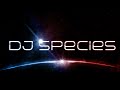 Click here to watch this video DJ SPecies - Hiroshima