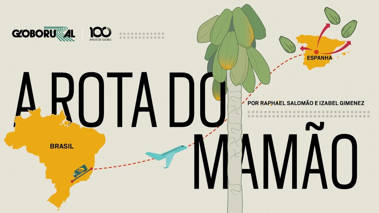 A rota do mamão; do Brasil à Europa, o caminho da lavoura ao consumidor