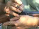 Learn about black powder weapons at DWGNRA
