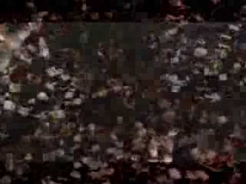 Igor Kannário - Pagodão Fest