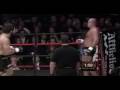 Fedor_Tribute_Lioncombo_production