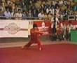Wushu Zhao Chang Jun - Staff (Gunshu) 棍