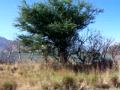Tequila volcano backside back of Volc�n de Tequila