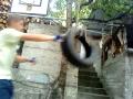 Training - MMA