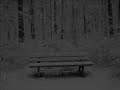 Goodbye by Steve Earle (cover) Goodbye by Steve Earle (cover)