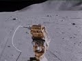 Moon Bug