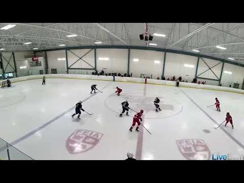 #11 NUJPE vs FEIA Icing battle