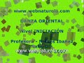 danza oriental alicante naturola bellydance webnaturola com
