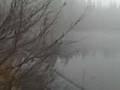 Burnt Lake.3GP