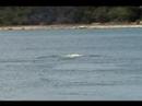 R300 2nd Open Water Dive