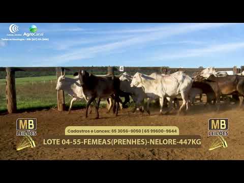 545� LEIL�O VIRTUAL MB LEIL�ES