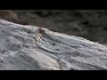 A short video of my recent trip to...
