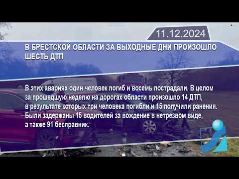 Новостная лента Телеканала Интекс 11.12.24.
