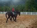 Perlis Equine 04