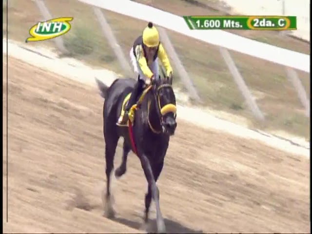 Four Palms Queen  Clásico Manuel Fonseca Arroyal Hipódromo Internacional La Rinconada