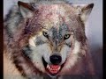 Blood Hunt: The Legend