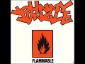 flammable-johnnyjungle- old skoll jungle